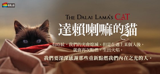 dalai_cat-560.jpg