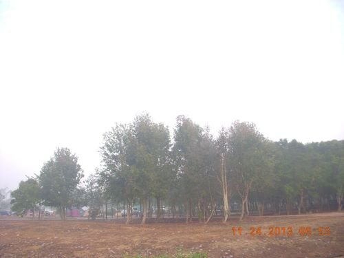 DSCN3996.JPG