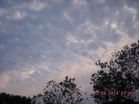 DSCN9547.JPG