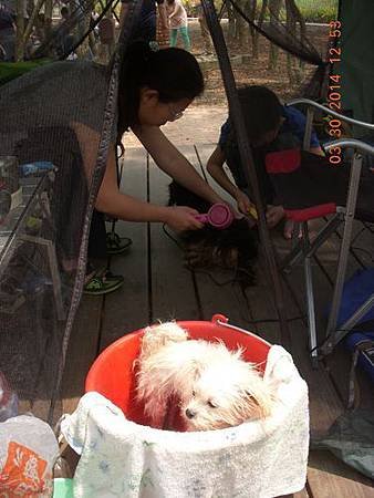 DSCN9566.JPG