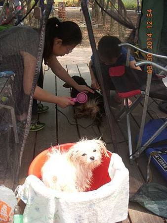 DSCN9568.JPG