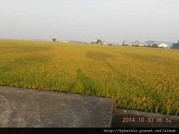 DSCN5595.JPG