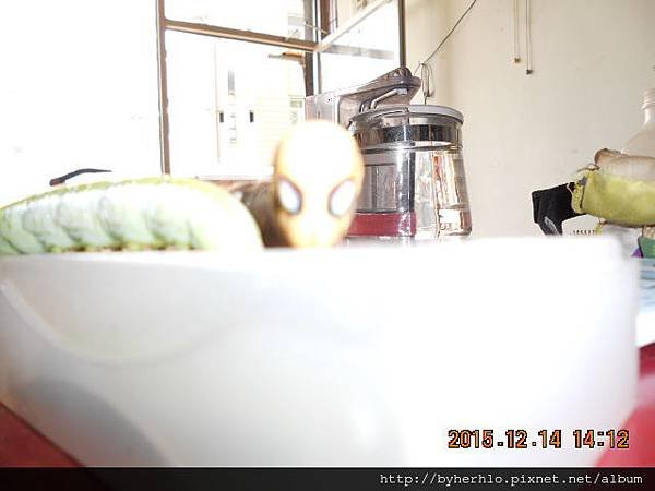 DSCN5227.JPG