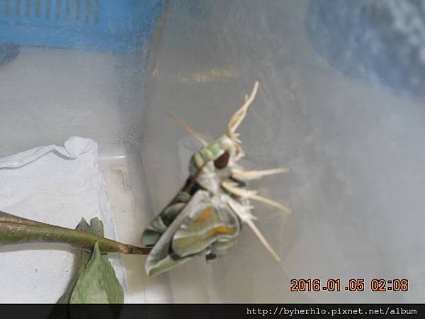 DSCN8092.JPG