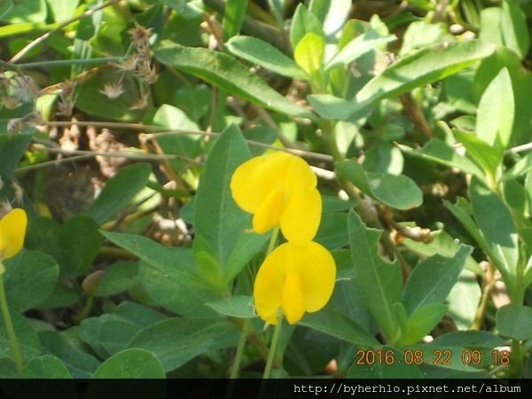 DSCN5887.JPG