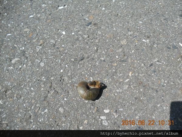 DSCN5918.JPG