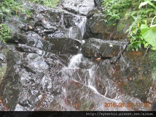 DSCN5964.JPG