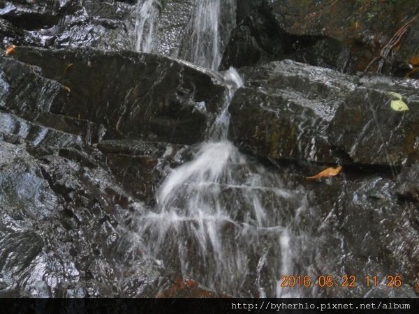 DSCN5971.JPG