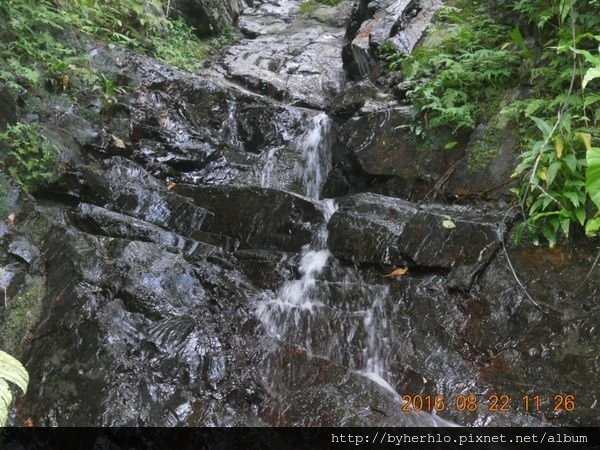 DSCN5969.JPG