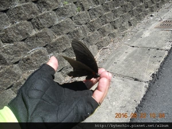 DSCN5932.JPG