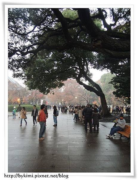 DSCN5006