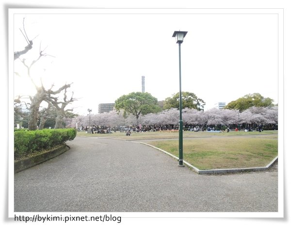 DSCN8160.JPG