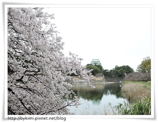 DSCN7163.JPG