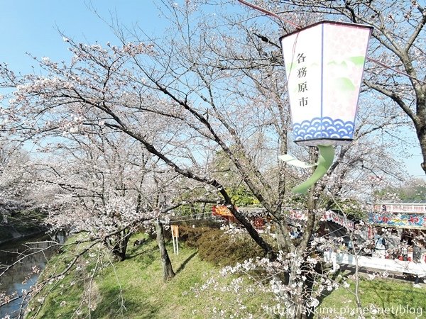 DSCN6052.JPG