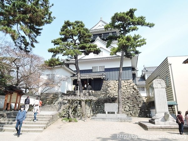 DSCN6519.JPG