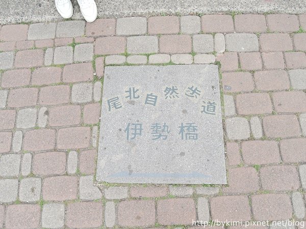 DSCN7164.JPG