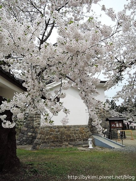 DSCN8611.JPG