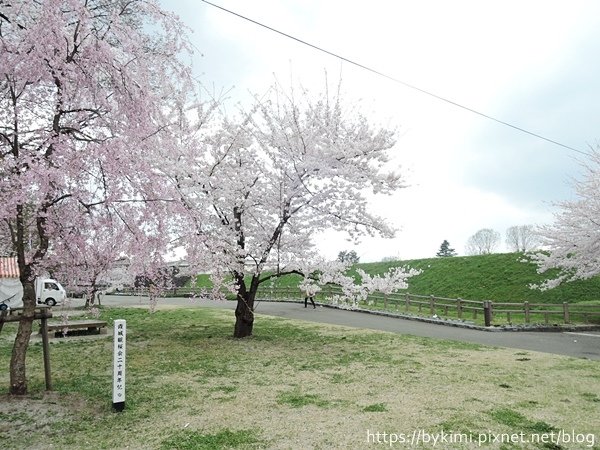 DSCN2601.JPG