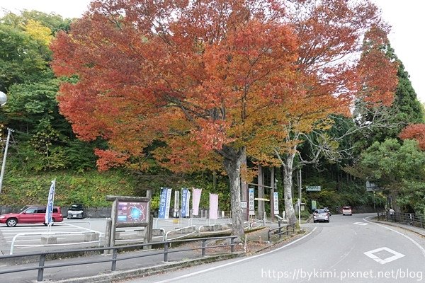 P1000411.JPG