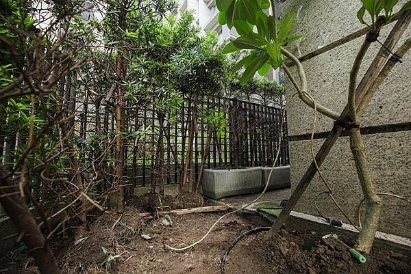 《新成屋裝修大隊》2023年尾不好的磁場太多
