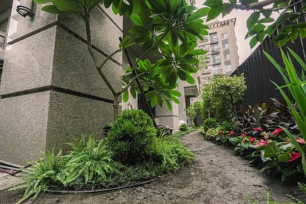 《新成屋裝修大隊》2023年尾不好的磁場太多