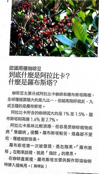 咖啡Lesson One