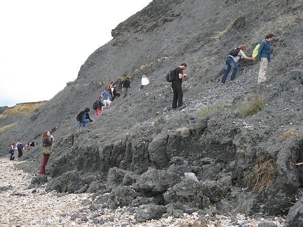 charmouth