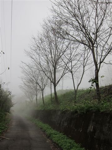 IMG_1271.JPG