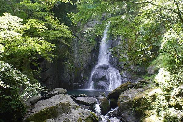 P1120457.jpg