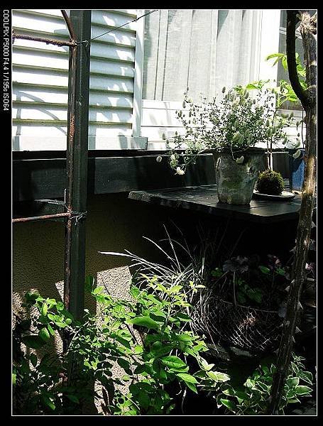DSCN1751.jpg
