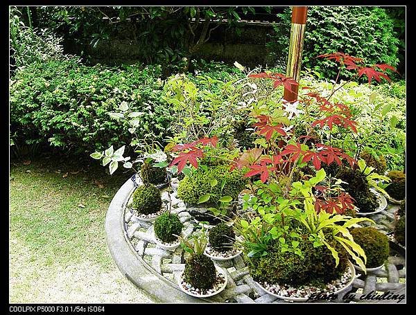 DSCN1956.jpg