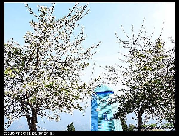 DSCN1001 - 複製.jpg