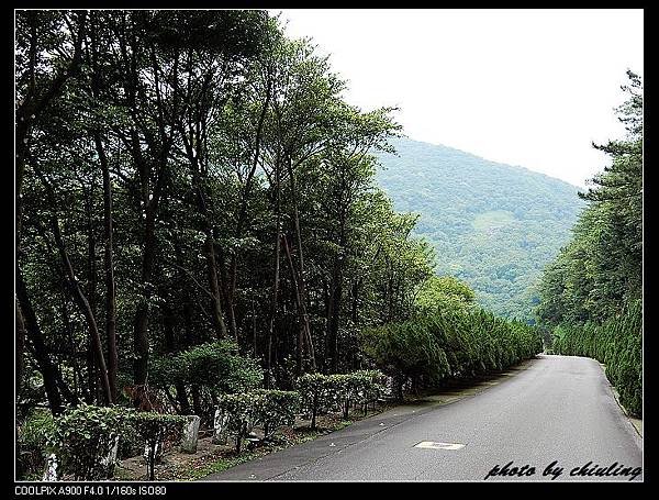 DSCN7151.jpg