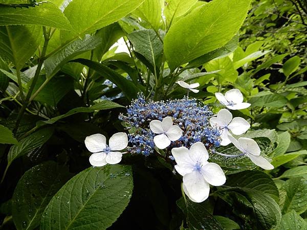 DSCN0209.JPG