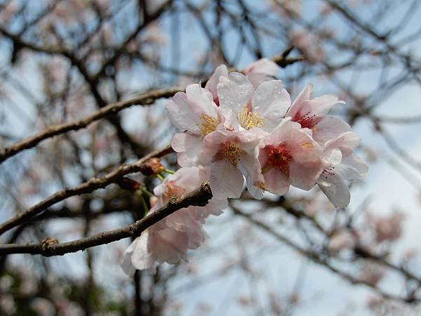 DSCN8860.JPG