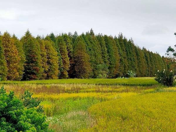 IMG20201205092342.jpg