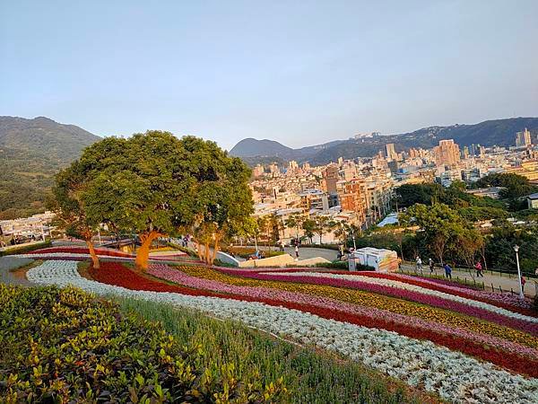 IMG20210201170442.jpg