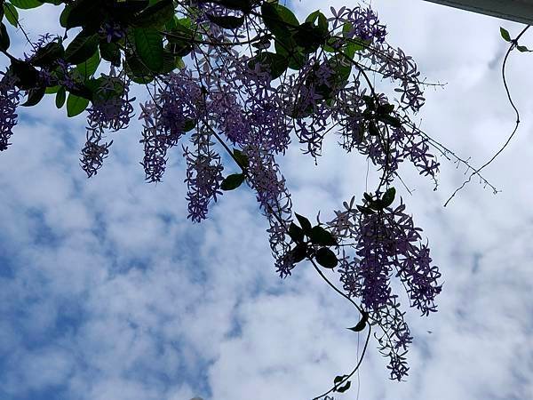 IMG20220325145433.jpg