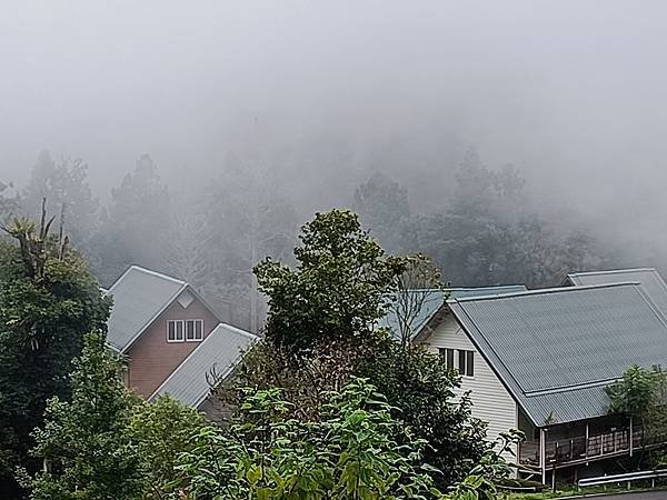 IMG20220818143738.jpg