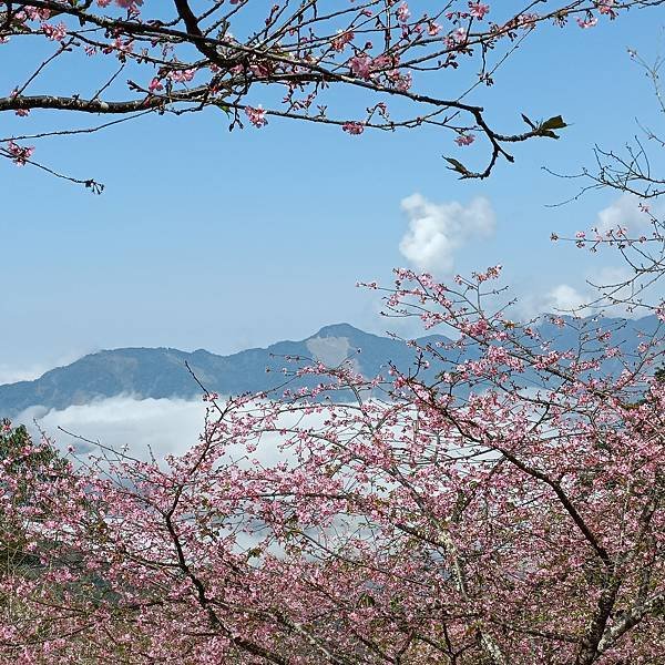 IMG20230124111609 - 複製 - 複製.jpg