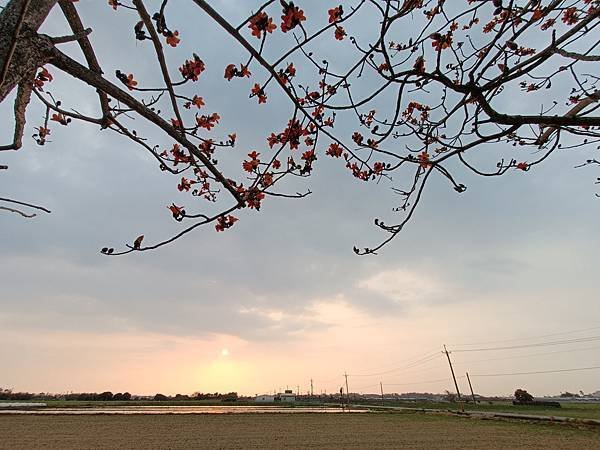 IMG20230312173141.jpg