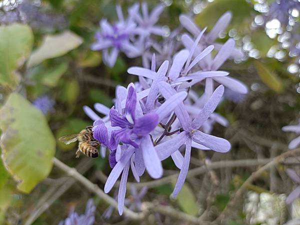 IMG20230313144345.jpg