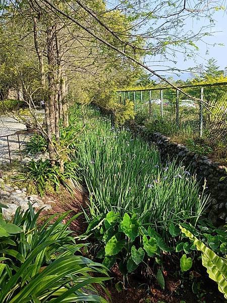 IMG20230416155803.jpg