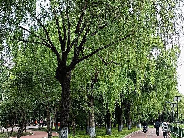 ”香坊區”, 哈爾濱起源地~ 哈爾濱之旅