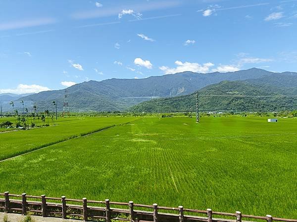 六十石山, 黃澄澄的金針花毯, 令人心曠神怡!
