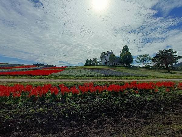 “藥萊花園--秋天色彩的花地毯 、”鍾景閣”-在歷史建築中享