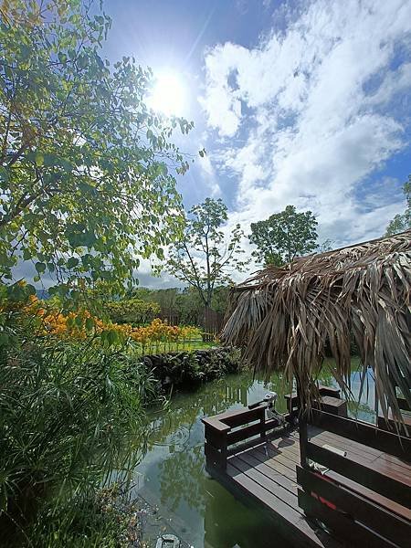 我們住在”理想大地”--西班牙式建築&amp;花東地區植物, 令人喜