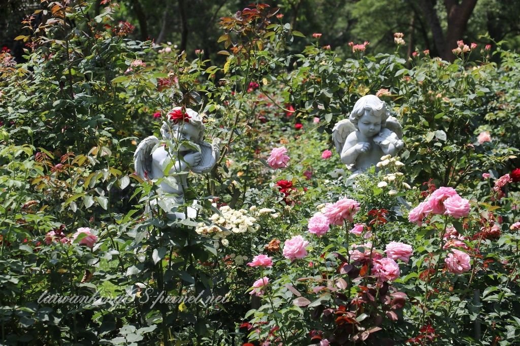 苗栗三義雅聞香草植物園