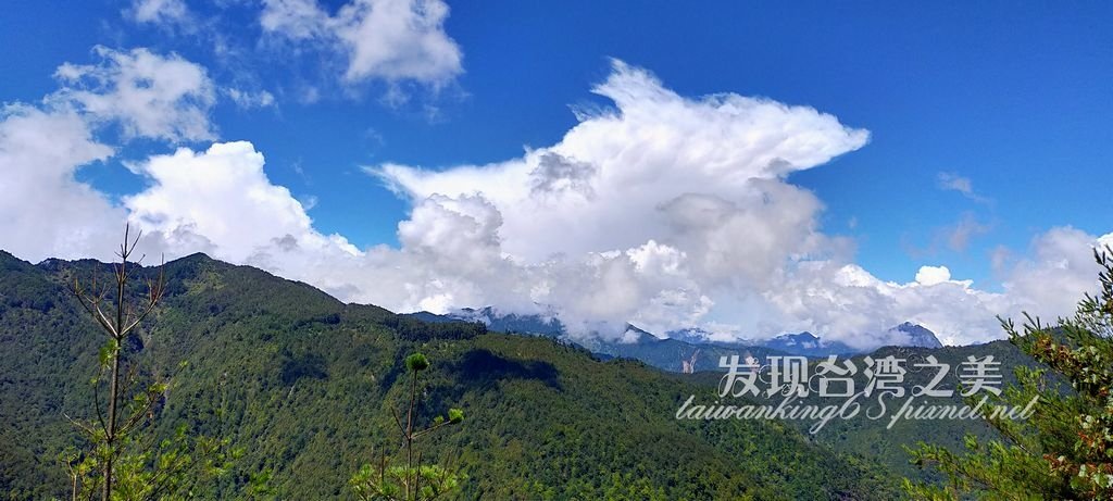 大雪山帝雉