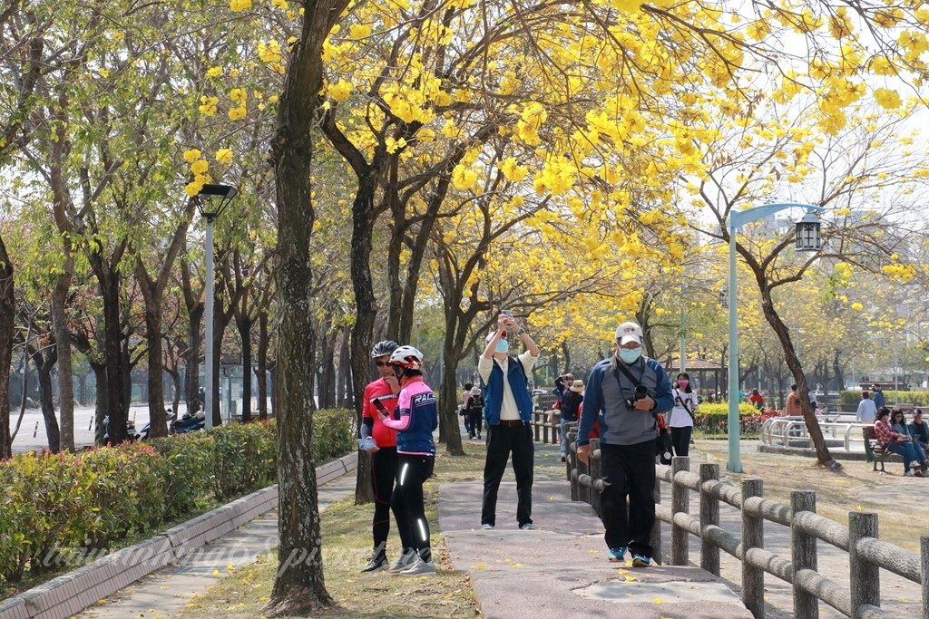 繁花再現的廍子公園